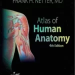 Atlas of Human Anatomy 4th Edition by Frank H. Netter