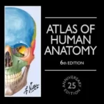 Atlas of Human Anatomy 6th Edition by Frank H. Netter